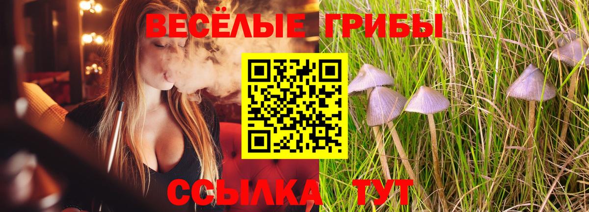 Галлюциногенные грибы MAGIC MUSHROOMS  Вход с VPN  Ливны 